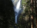 Yosemite NP